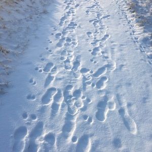 Meet your Posher, Sam